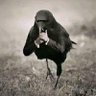 Фото профиля Dante Vela