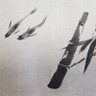 しろ's profile picture