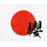 TEIKOKU_KS's profile picture