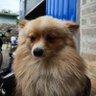 Komaykoloe ✸,✸'s profile picture
