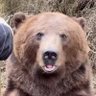 victory's profile picture