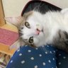 maild7923 profil fotoğrafı