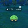 色カブト 的头像