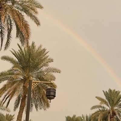 hdyl1929's profile picture