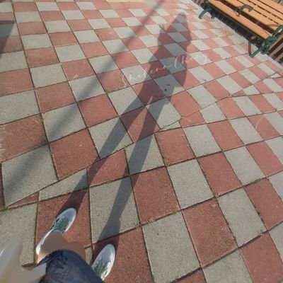 Shelenn Cheng's profile picture