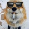 Bennnny💸💸Poor edition's profile picture