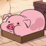 Profilbild von waddles