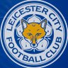 leicester scout ็ๅคดๅ