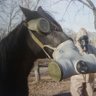 RedBird Pilot's profile picture