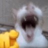 Profilbild von Yassen