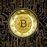 Crypto Fans ☀️ 的头像