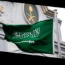 Sara Mohammed's profile picture