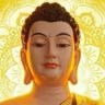 Profilbild von 🍁Ashok Bauddha🍁