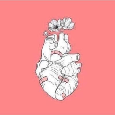 Alialtantawi's profile picture