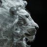 D.A.N - teacher's-son's profile picture