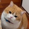 Profilbild von Lista