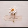 Фото профиля louy yousef
