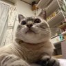 エテキチ【新しいアカウント】's profile picture