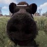 kerfunkle's profile picture