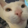 Profilbild von Vian