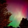 Фото профиля AuroraBoredReal