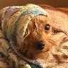 Profilbild von молодий чоловік