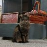 PaulaK profil fotoğrafı