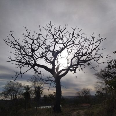 ceajur_jobneto's profile picture