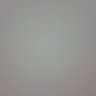 MakeNorthAmericaGreatAgain's profile picture