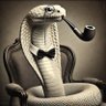 Jerpent the Serpent 🐍 profil fotoğrafı