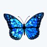 तितली 🦋 的头像