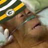 Rasul Douglas Burner's profile picture