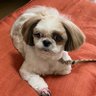 ้ๅญ's profile picture