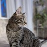 Топор Раскольникова profil fotoğrafı