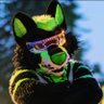 Acera Wolf's profile picture