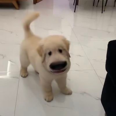 ᵖˡˢ NamNom ⌯'ㅅ'⌯​'s profile picture