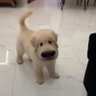 NamNom (แม่น้องโหม๋)​ profil fotoğrafı