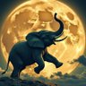 Sam Starspot's profile picture