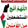 محمد's profile picture