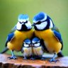 Beany L profil fotoğrafı