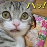 鬼怒川1号 的头像