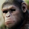 Profilbild von AnonApe