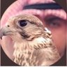 حسن's profile picture