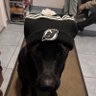 SdoubleW 的头像