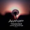 abo Tammah's profile picture