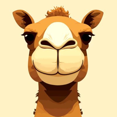 AllCamelToes's profile picture