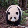 三青 profil fotoğrafı