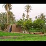 يآرب العالمين 🌹 profil fotoğrafı