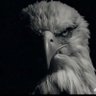 ANNON (0xbabe) Babyneiro profil fotoğrafı