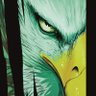 JLUEaglesFan profil fotoğrafı
